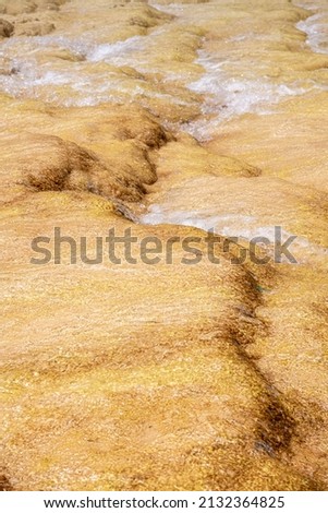 Close up on the yellow and brown slopes texture of Huanglong Scenic Area, Sichuan, China 
