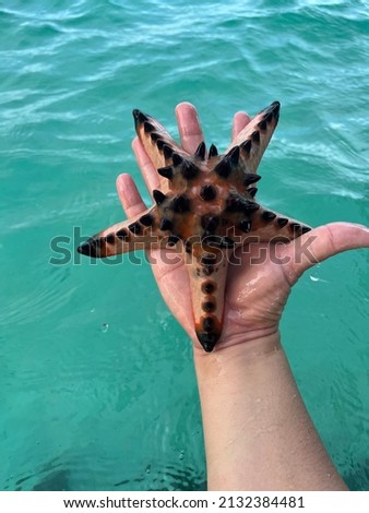 Starfish in human hand. Close out picture with sea at the background. Selective focus. Picture may contain glare and noise