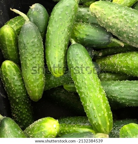 Macro photo green cucumber. Stock photo fresh green cucumber vegetable background Royalty-Free Stock Photo #2132384539
