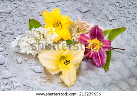 flowers in a rainy day