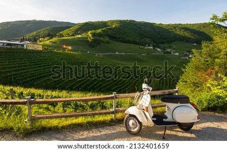 Beautiful landscape of hills with vineyards with vintage Italian Vespa, green rural environment in the countryside of Italy. Valdobbiadene Prosecco area, vines emotional pictures Royalty-Free Stock Photo #2132401659