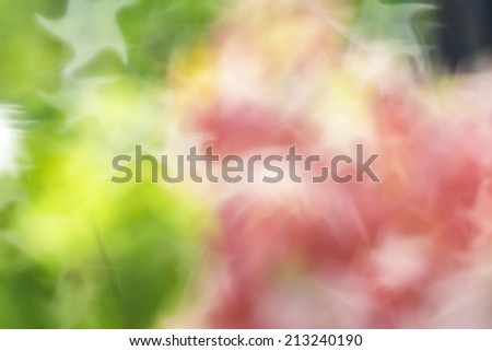 blurred Abstract natural colors background and star bokeh