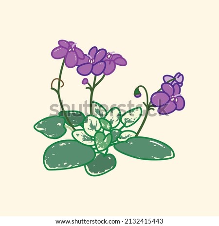 Cute blooming African violet in vector flat cartoon style art illustration design