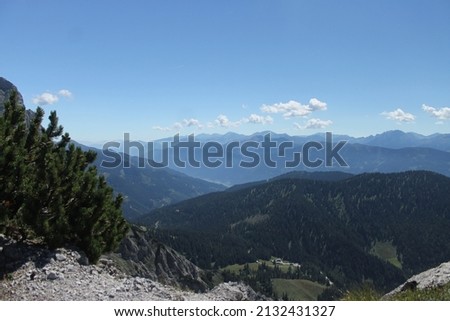 View over the mountains under the blue summer sky. Oberst Klinke-Hütte in the valley. Mountains covered with woods and rocky mountains on the horizon. Little pine bush on the left side of the picture.