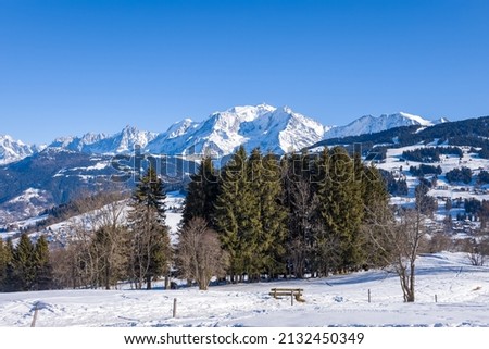 This landscape photo was taken in Europe, in France, Rhone Alpes, in Savoie, in the Alps, in winter. We see the Mont Blanc massif in the middle of the forest, under the Sun.