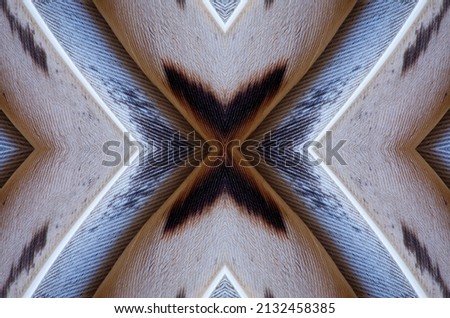 Abstract symmetric pattern of colorful feathers of wild duck as background close-up. Ornamental surreal tracery of bird feathers. The image with mirror effect.