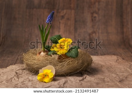 Spring decoration - a small nest and in it are two eggs in which are yellow primrose flowers. In the background is rustic wood.