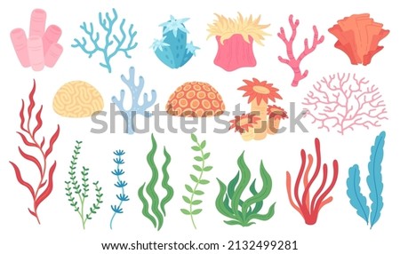 Ocean plants, underwater flora, seaweed, corals, kelp. Aquatic plant, coral, algae, kelp, tropical seabed elements vector set Royalty-Free Stock Photo #2132499281