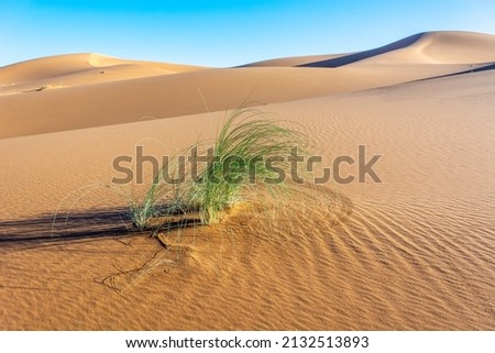 Erg Chebbi, sand desert of Merzouga, southeast of Morocco. Popular destination for travellers. Morocco. Royalty-Free Stock Photo #2132513893