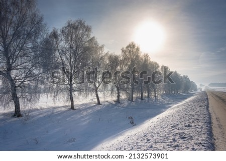 Tree branches in white snow, road and sun at dawn.