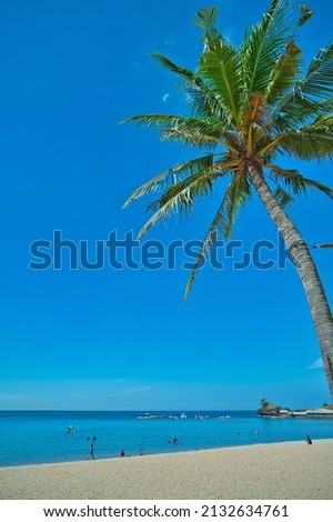 Sunny blue sky landscape view of beach resort area on white sand in Philippines