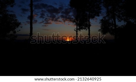 Beautiful sunset in the dark, sillhoutted trees