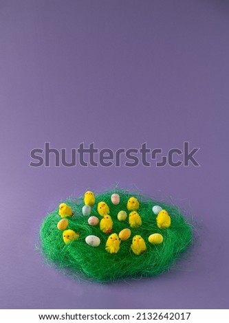 Easter and spring concept 2022. Funny yellow chickens in row on green grass with Easter eggs .  Easter purple background. Creative Easter arrangement.
