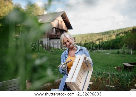 Senior woman with paintbrush impregnating wooden crate outdoors in garden. Royalty-Free Stock Photo #2132696803