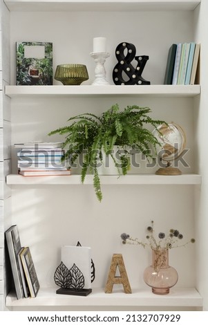 Beautiful green plant and different decor on shelves in room. Interior design