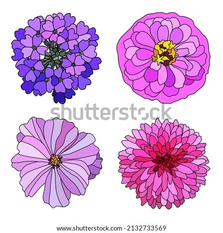 Decorative hand drawn verbena, zinnia, cosmos, chrysanthemum  flowers, design elements. Can be used for cards, invitations, banners, posters, print design. Floral background in line art style