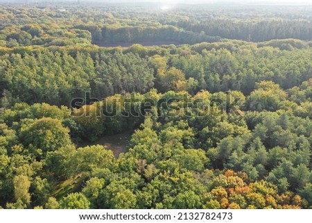 Forest in the Netherlands from above! Near the village of Baarn in the province of Utrecht! National park Utrechtse heuvelrug!