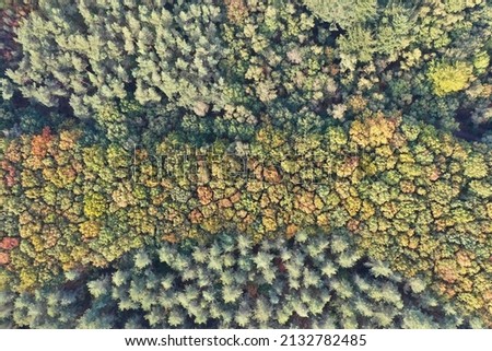Forest in the Netherlands from above! Near the village of Baarn in the province of Utrecht! National park Utrechtse heuvelrug!