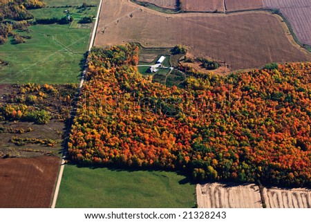 Farmland during the fall season