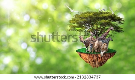nature concept wildlife conservation tiger deer global warming food ecology cubes human hands protect wildlife and wildlife tiger deer trees solar green background Royalty-Free Stock Photo #2132834737