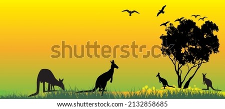 Australian kangaroos as a landscape vector with Australian gum tree