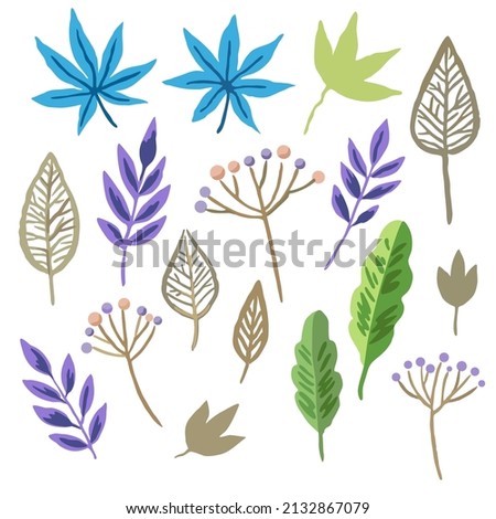 Set of berry branches and skeleton autumn leaves. Vector hand drawn illustration. 
