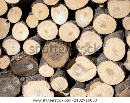End faces of sawn logs, side view. Sawn firewood stacked in piles, end view. Firewood for a picnic stacked in a pile.
