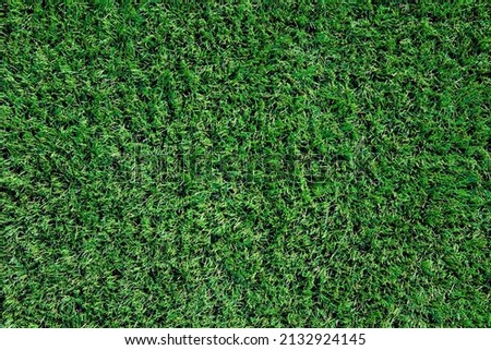 Green grass texture background, Artifical grass at stadium, Astroturf for playing sport game Royalty-Free Stock Photo #2132924145
