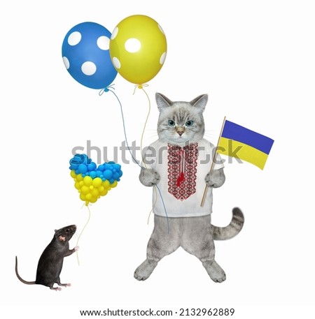 An ashen cat patriot in an ukrainian traditional shirt is holding the flag of ukraine and balloons. White background. Isolated.