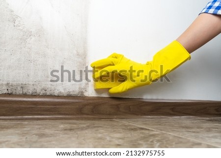 Close-up of a woman's hand in yellow rubber gloves cleans the wall from black mold with a special antifungal agent and sponge.Result is before and after, one part of the wall is clean, other is dirty Royalty-Free Stock Photo #2132975755