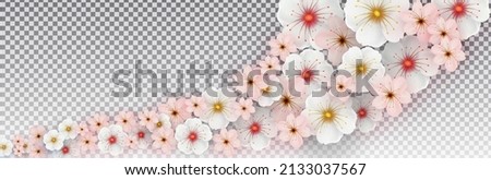 White and pink spring flowers on an isolated transparent background. Template for banner, poster, presentation. Vector illustration