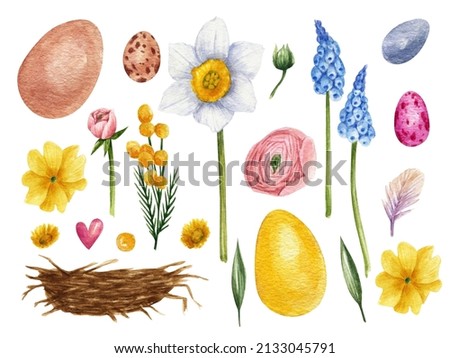 A set of Easter illustrations on a white background. Spring flowers, nests, painted eggs, green leaves. Hand-drawn in watercolor.