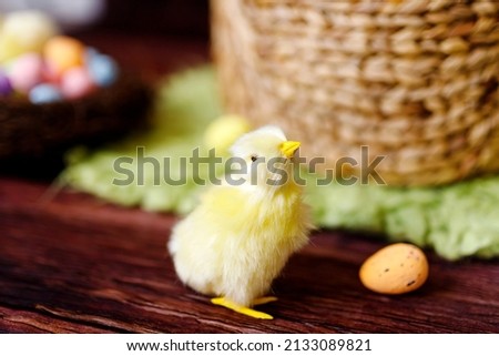 Easter background with yellow chicks and eggs. Easter holidays