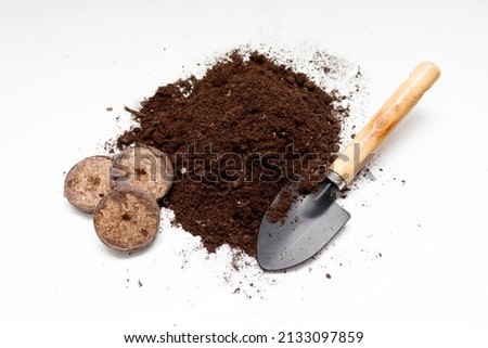 peat tablets, soil. Peat tablets for seedlings. Planting organic material. Sowing seeds. plant seeds in peat tablets. Royalty-Free Stock Photo #2133097859