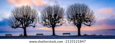 bench at a park - photo
