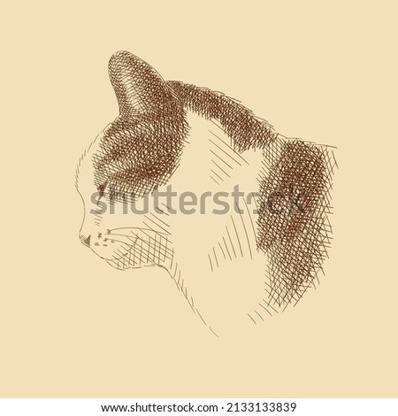 Sketch of the cat's head in profile. Pet, furry animal with striped coloring and a white muzzle. Image for zoo design. Vintage brown and beige card, hand-drawn, vector. Old design. Linear graphics.