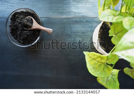 Abstract of top view of spent coffee grounds with potted houseplant, Arrowhead Plant, Syngonium Podophyyum, over a dark rustic wood table. Focus on coffeegrounds in bowl and base of house plant.