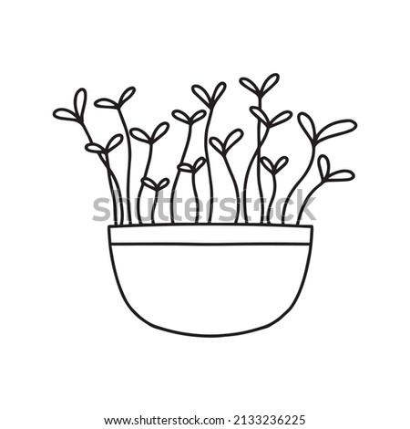  Pot of microgreens. Microgreens peas, radish, onion, arugula. sunflower, beets and others. Vector illustration isolated on white background. Doodle style.
