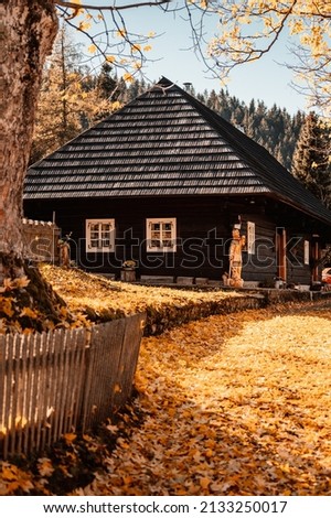  Colorful old wooden houses in Vlkolinec. Unesco heritage. Mountain village with a folk architecture. Magurka, liptov, slovakia.