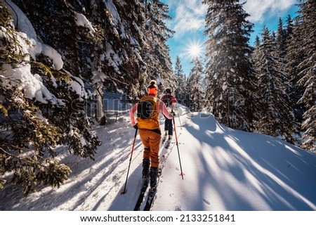 Mountaineer backcountry ski walking ski alpinist in the mountains. Ski touring in alpine landscape with snowy trees. Adventure winter sport. Royalty-Free Stock Photo #2133251841
