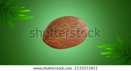 Coconut on green background with soft gradient and coconut leaves