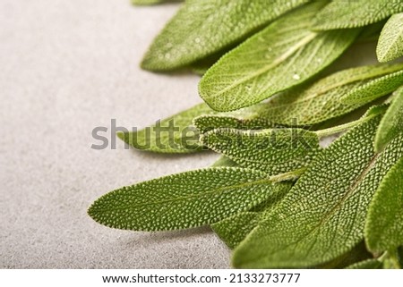 Sage. Bunch of fresh green leaves. Herb sage abstract texture background. Nature concepts. Soft and selective focus. Texture. Mock up. Top view with copyspace.