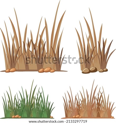Set of different grass clumps  illustration