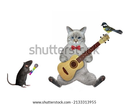 An ashen cat is playing an acoustic guitar and singing a song. White background. Isolated.