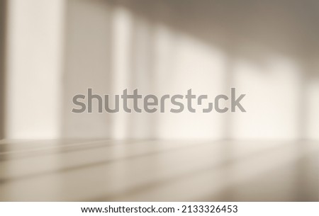 The light from the window shines on the white wall, the shadow from the curtain, blurry shadows and silhouettes on the wall, copy empty space for mockup. Defocus blurred shadows. Royalty-Free Stock Photo #2133326453