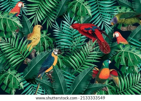 Tropical birds parrot, hoopoe, plants leaves flowers frangipani abstract color dark background. Seamless vector pattern. Tropical birds illustration. Wall Mural Collection. Exotic leaves and parrot