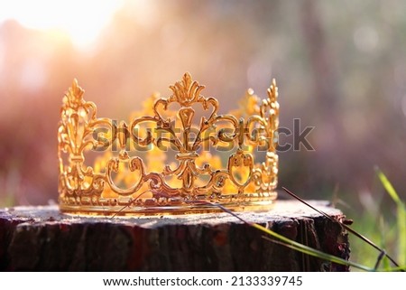 mysterious and magical photo of gold king crown in the woods. Medieval period concept.