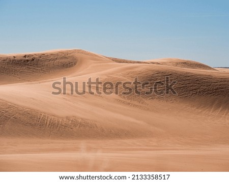 Sand Dunes in Little Sahara SP in Waynoka, OK