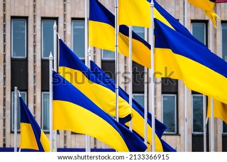 Flags of Ukraine in the city. Selective focus