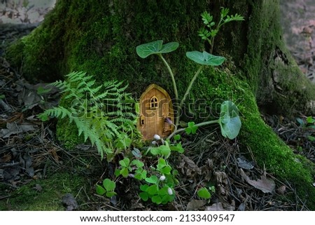 tree with Little fairy wooden door in forest, abstract natural background. Fairy tale tree house in green woodland, pixie, elf home. beautiful mystery magic atmosphere. fantasy fable aesthetic